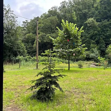 Daire The Hidden Garden